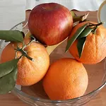 דירה Il Sicomoro Montecarotto