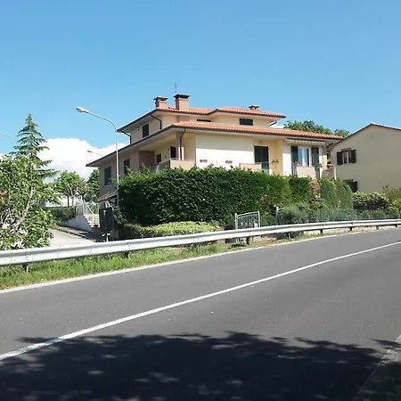Il Sicomoro