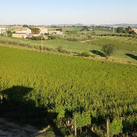 Il Sicomoro Apartmán