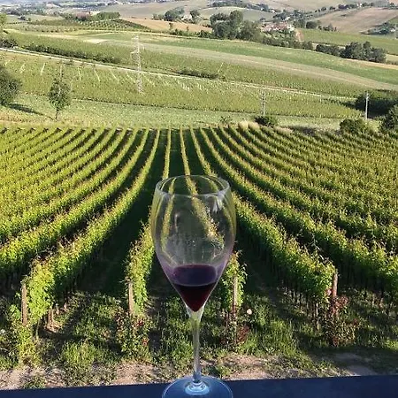 Il Sicomoro Apartmán Montecarotto